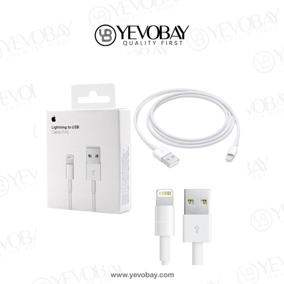 Lightning to USB Cable 1m