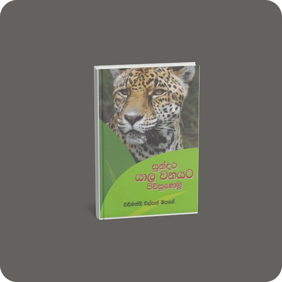 සුන්දර යාල වනයට පිවිසුණෙමු | YEVOBAY.com Sri Lanka