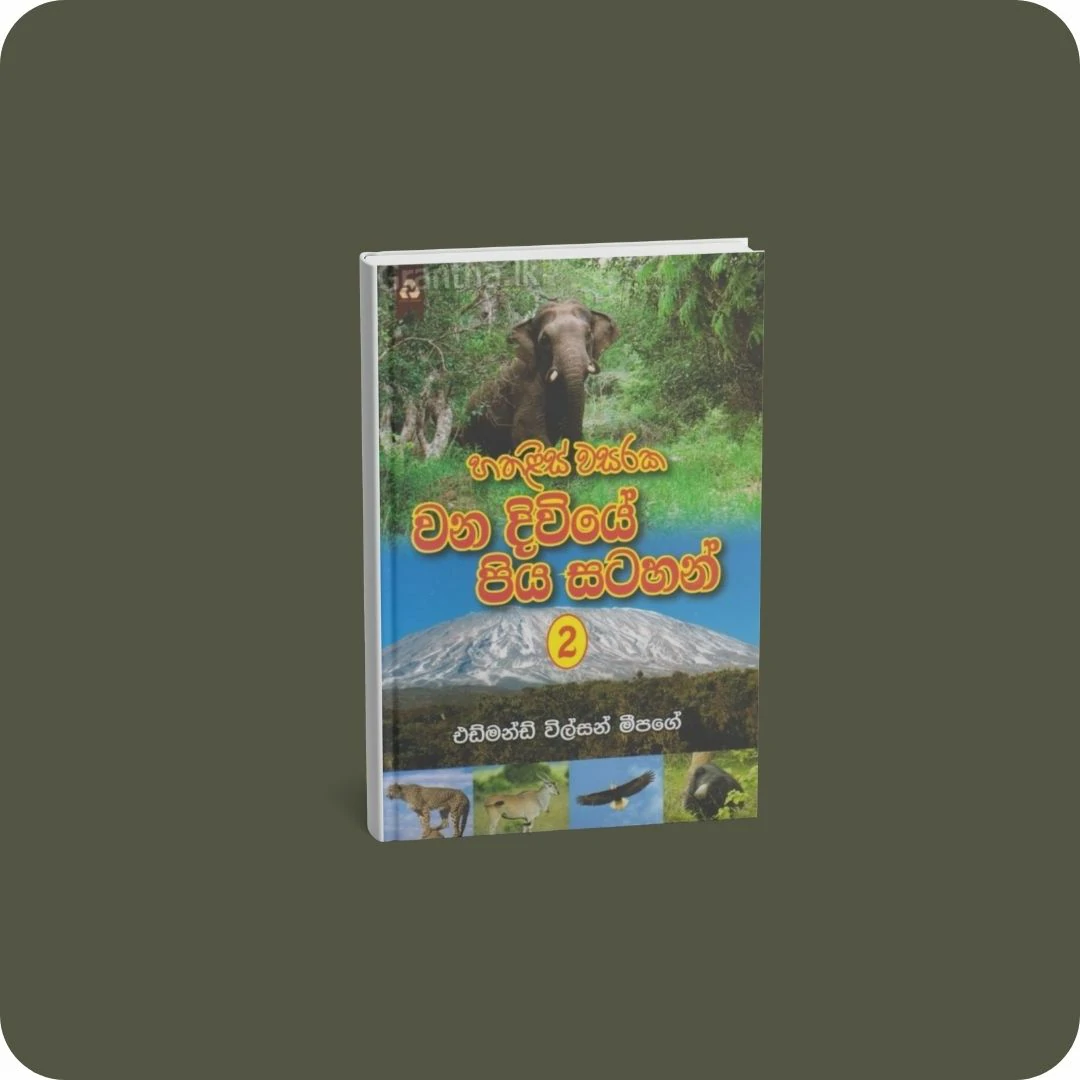 හතළිස් වසරක වන දිවියේ පිය සටහන් 2 | YEVOBAY.com Sri Lanka