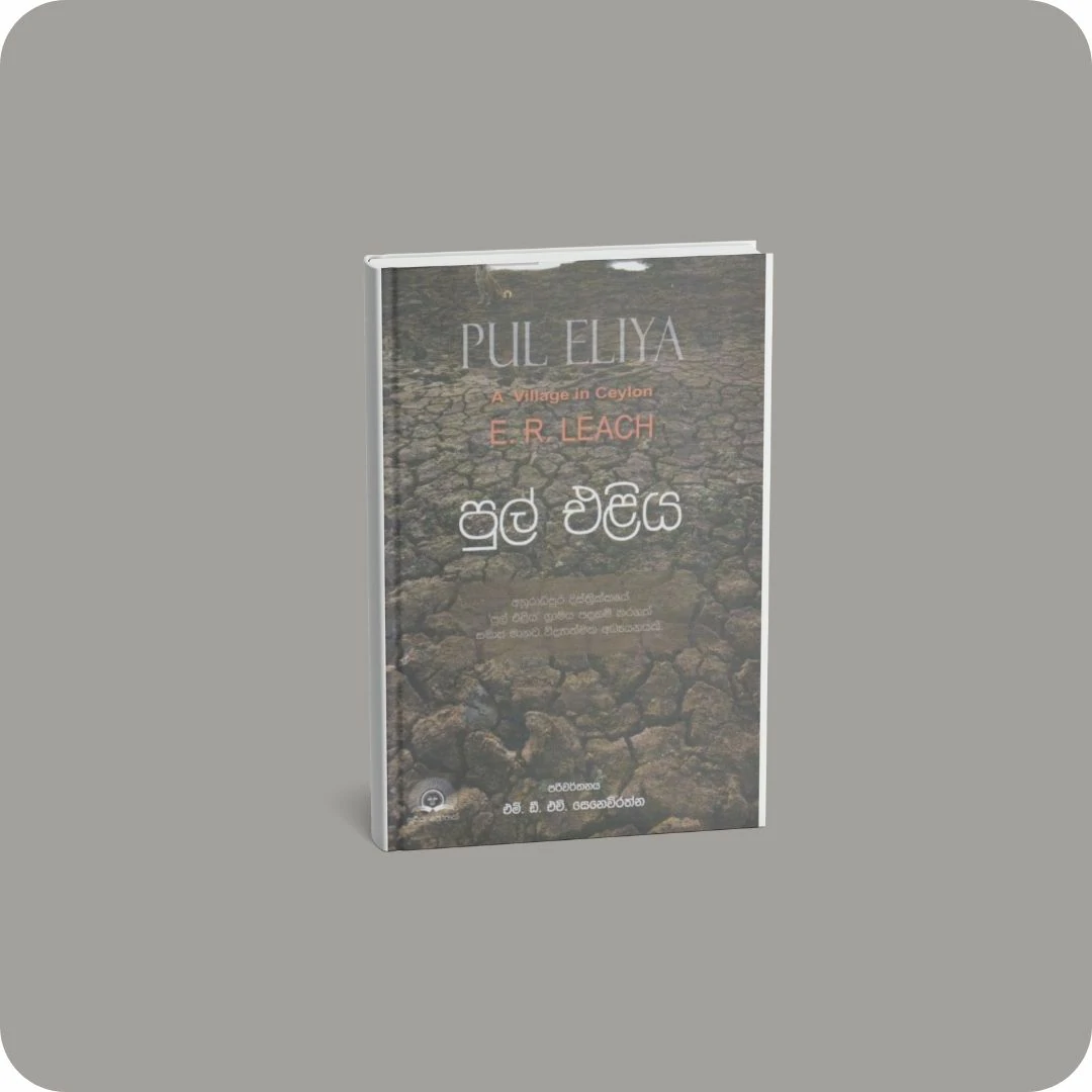 පුල් එළිය | YEVOBAY.com Sri Lanka