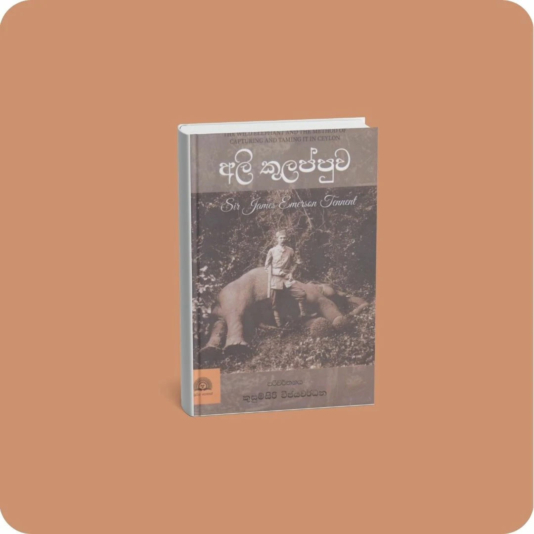 අලි කුලප්පුව | yevobay.com Sri Lanka
