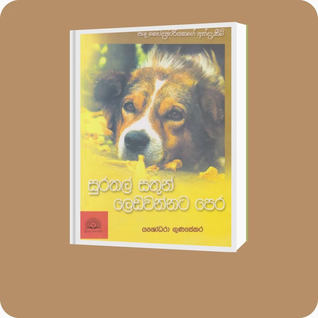 සුරතල් සතුන් ලෙඩවන්නට පෙර | Surathal Sathun Ledawannata Pera - YEVOBAY Sri Lanka