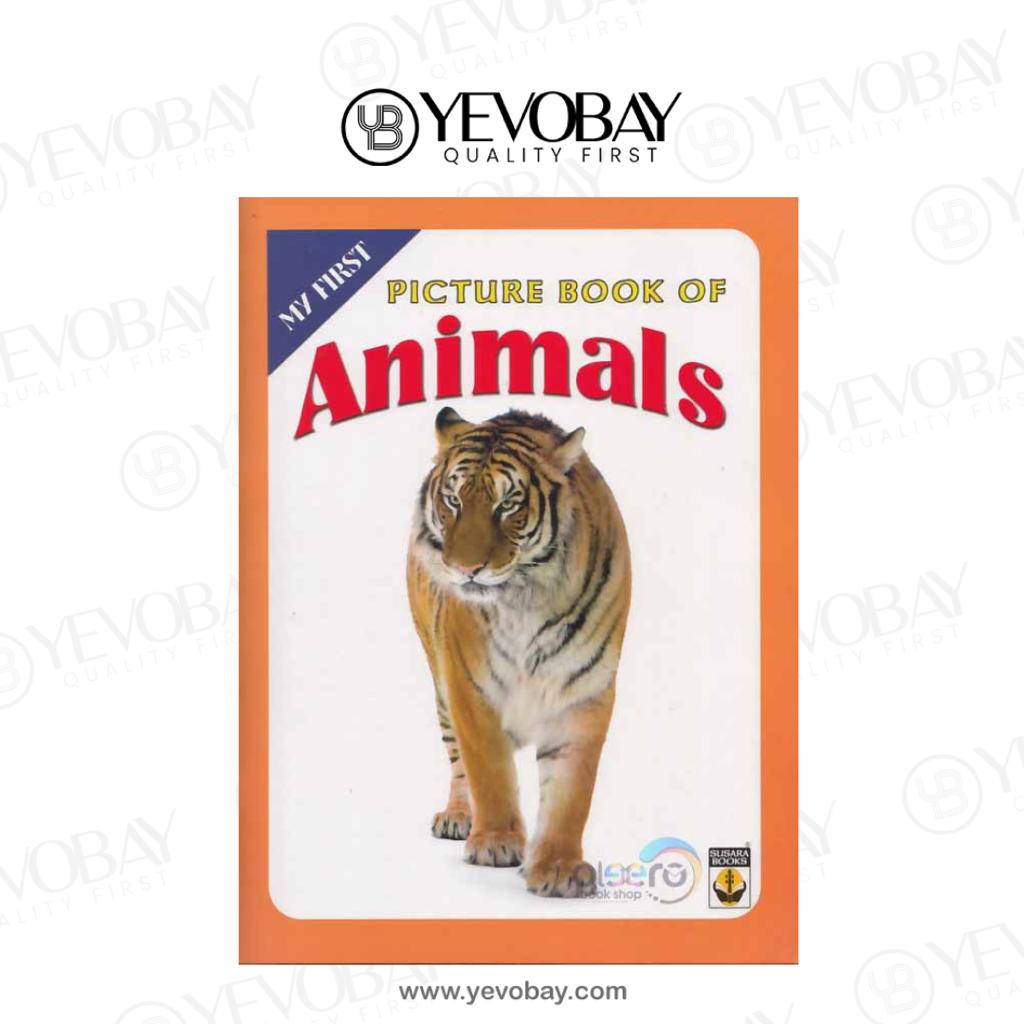 Animals My First Picture Book