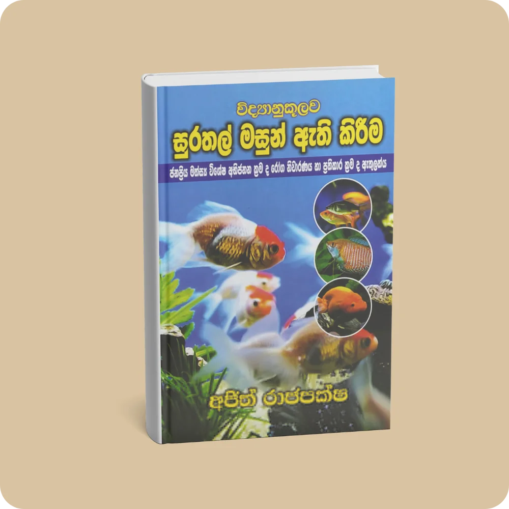 English Essays For Children Of Grades 1-6 & Above | YEVOBAY Sri Lanka