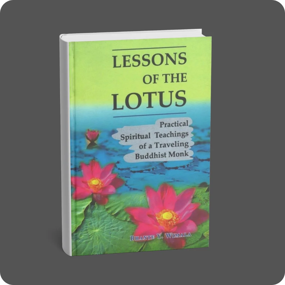 Lessons Of The Lotus | YEVOBAY Sri Lanka