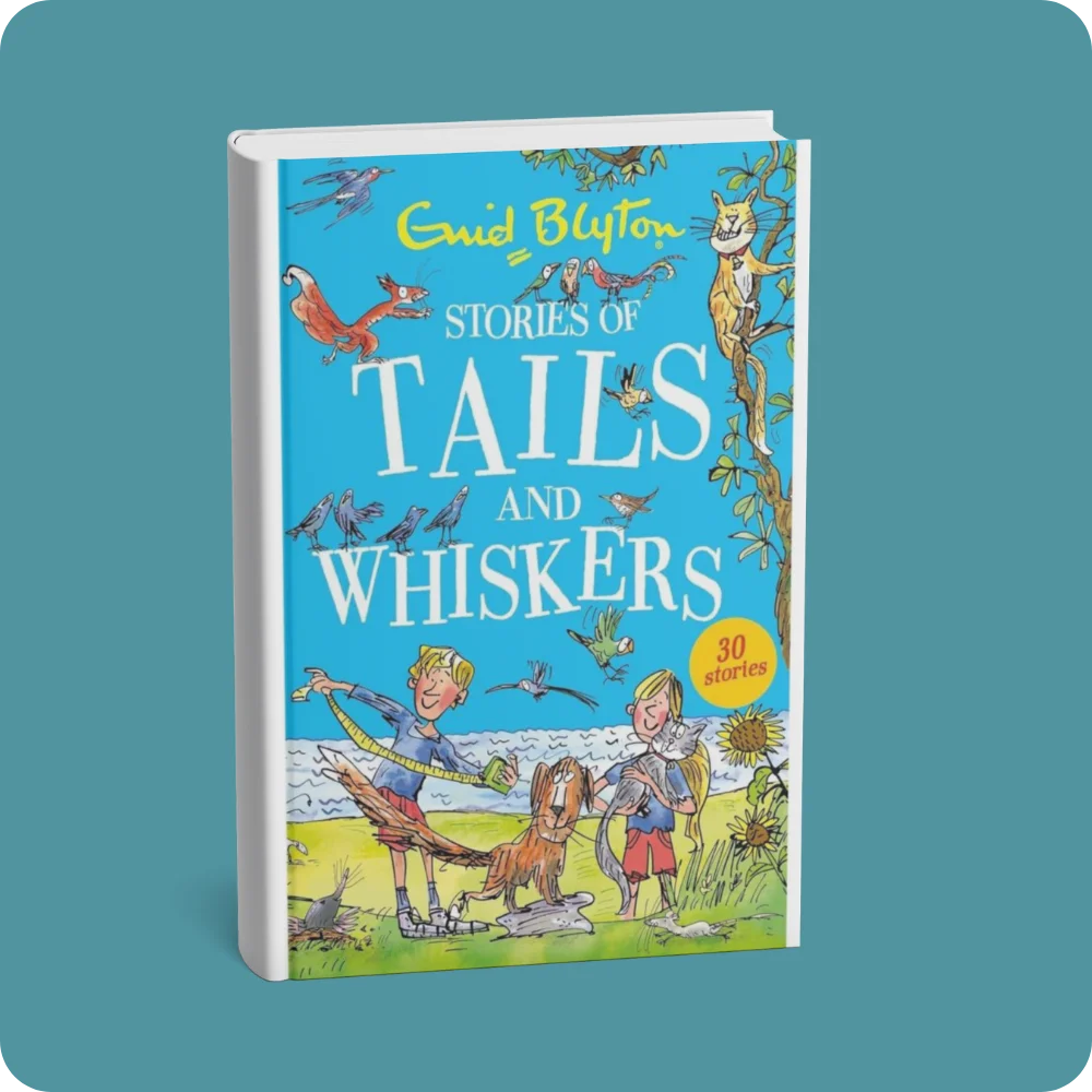 Stories Of Tails And Whiskers | YEVOBAY Sri Lanka