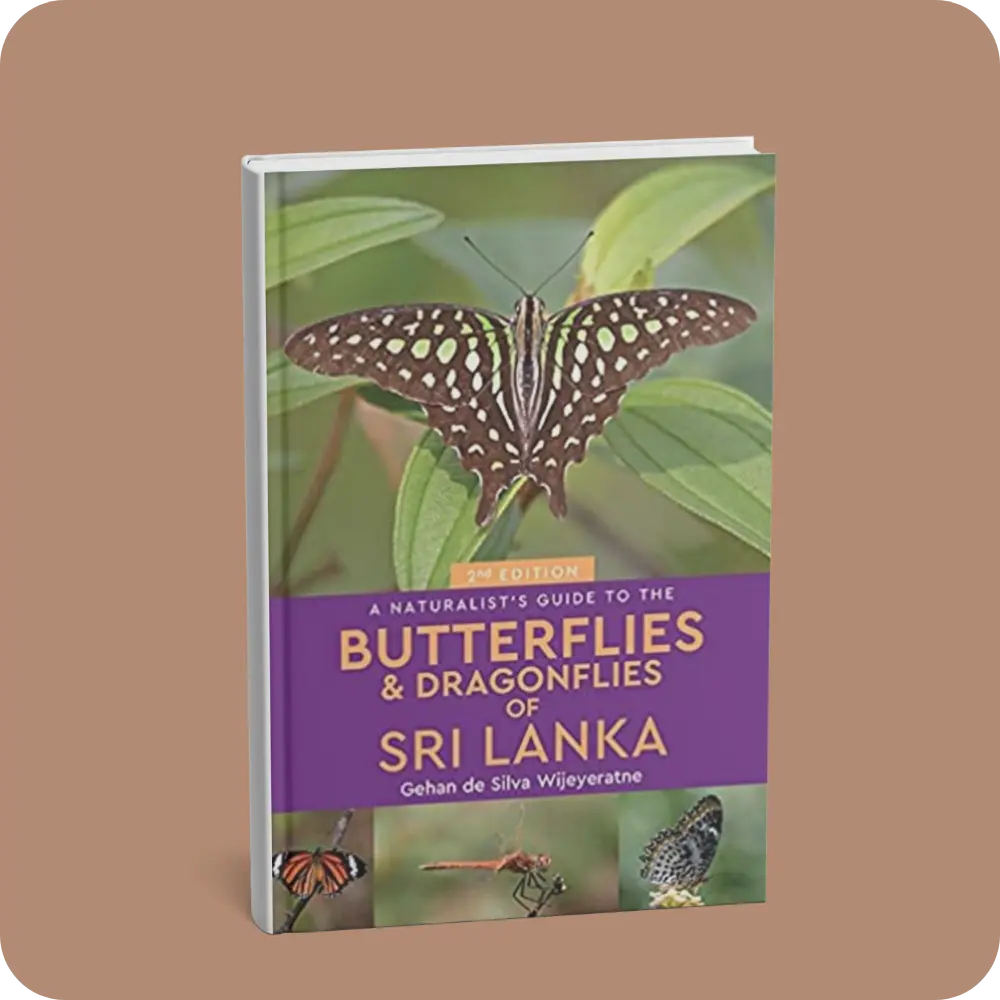 A Naturalist s Guide To The Butterflies & Dragonflys of Sri Lanka | YEVOBAY Sri Lanka