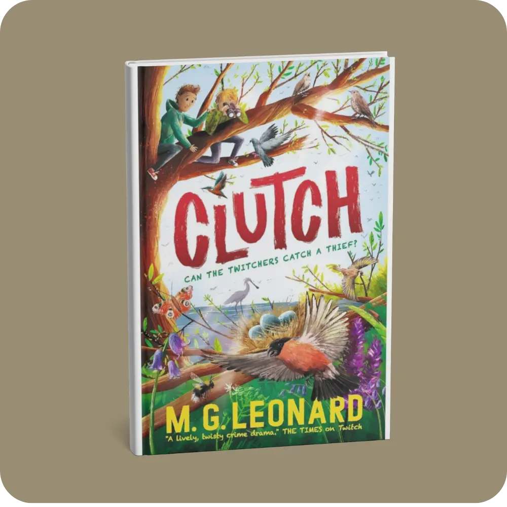 Clutch | YEVOBAY Sri Lanka