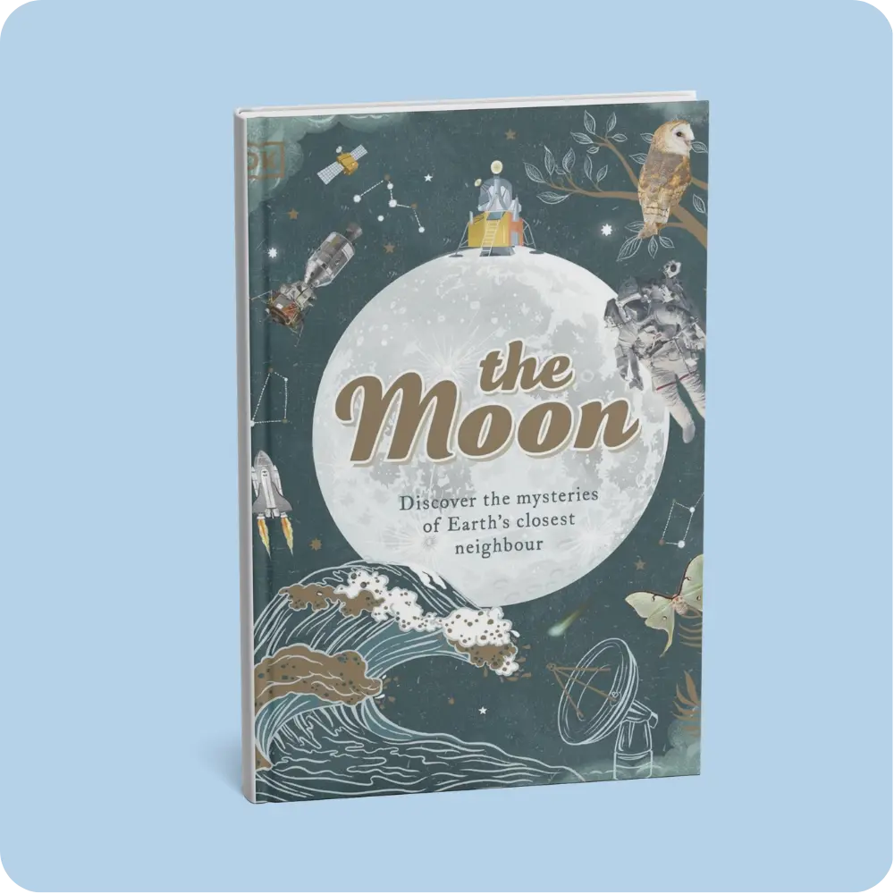 The Moon | YEVOBAY Sri Lanka