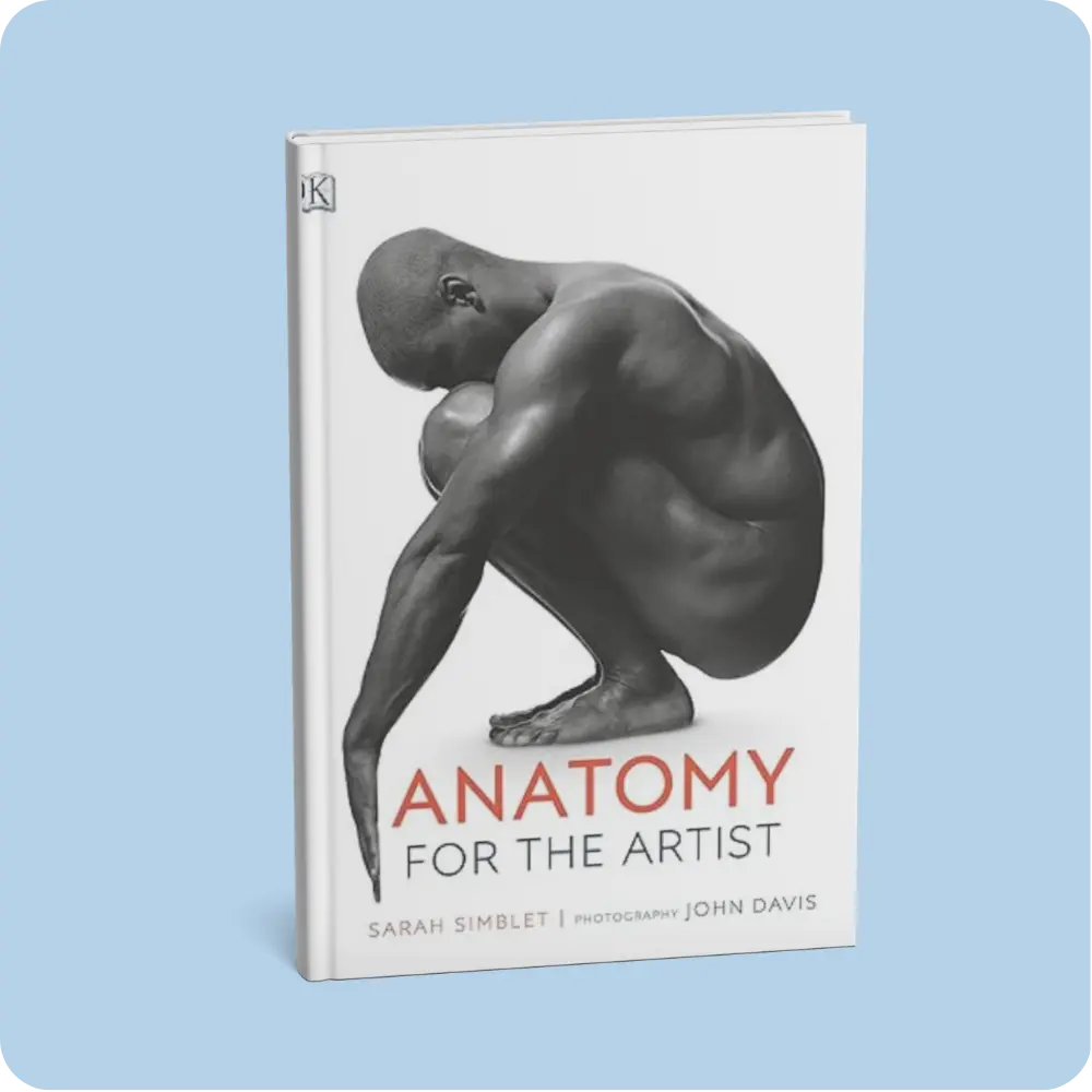 Anatomy for the Artist | YEVOBAY Sri Lanka