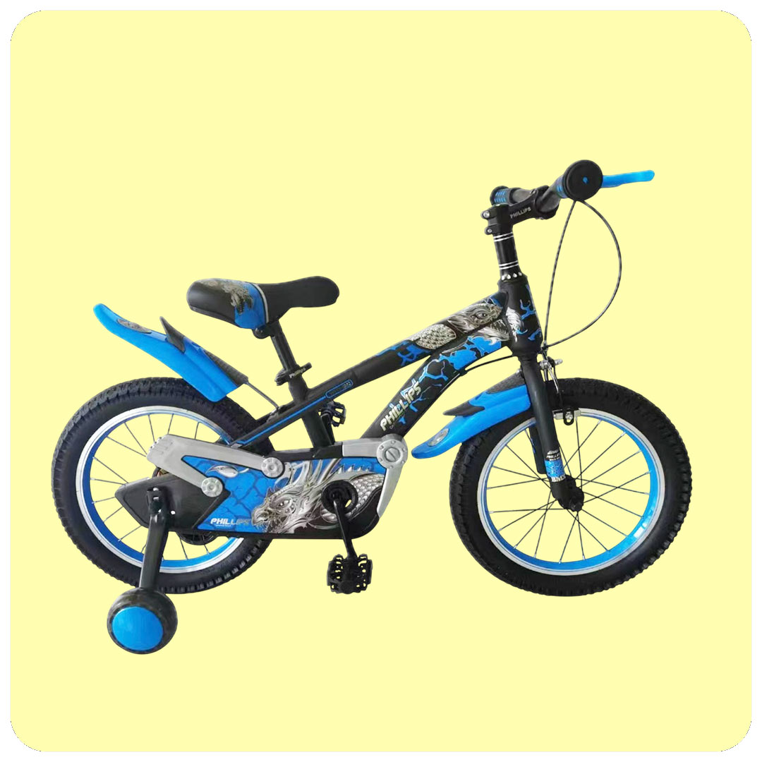 Boys Bicycle Dragon Rider with Training Wheels