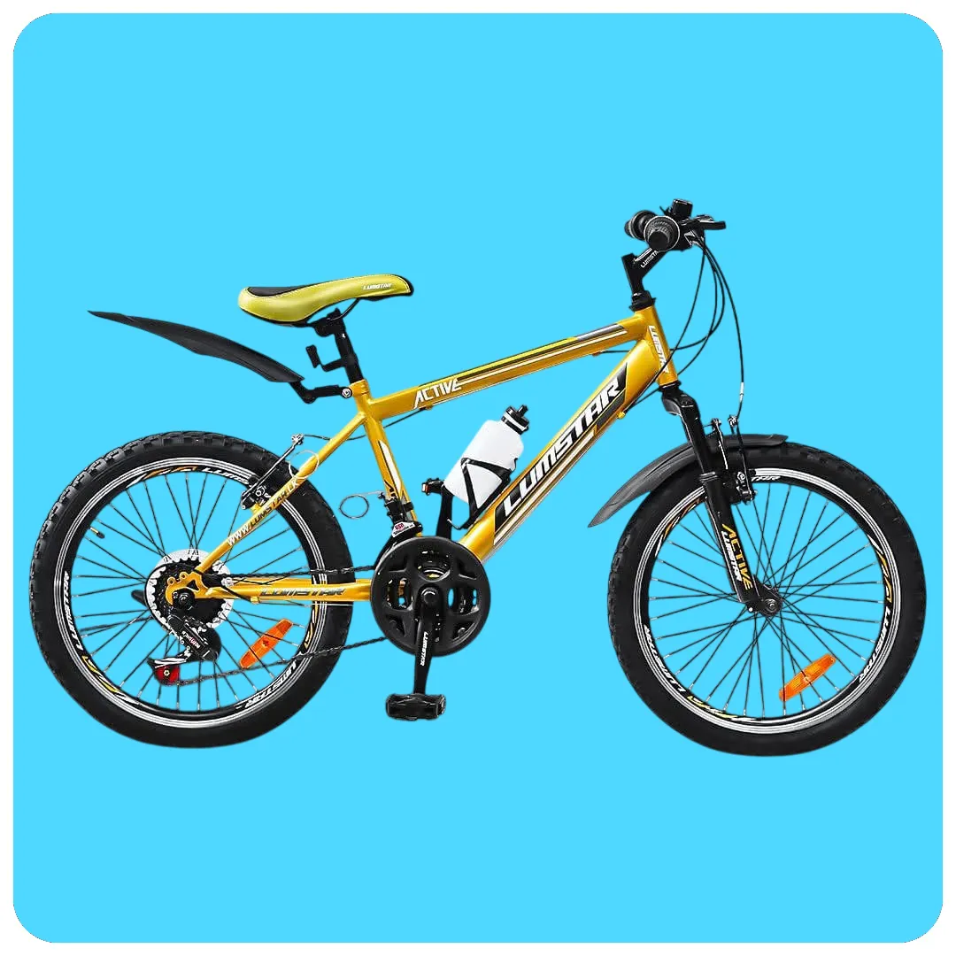 LumStar Active 20 inch Mountain Bicycle
