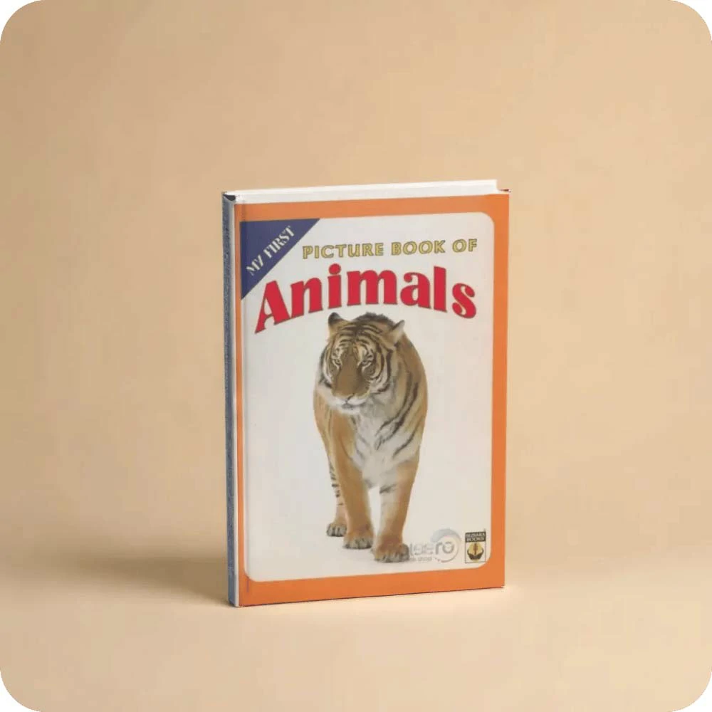 Animals My First Picture Book