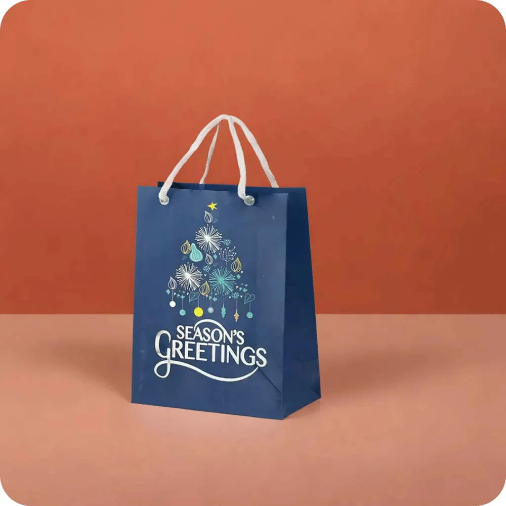 Gift bag medium