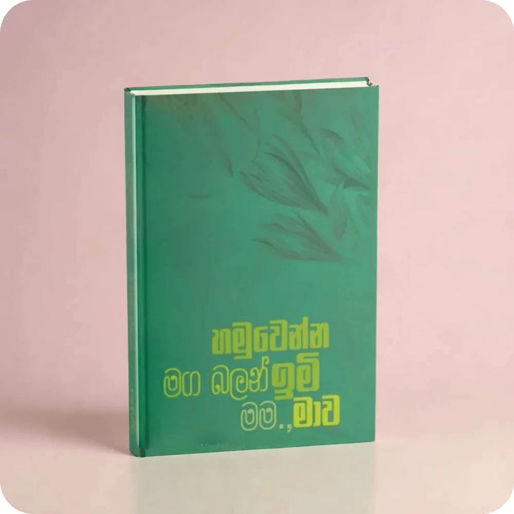 හමුවෙන්න මග බලන් ඉමි මම., මාව