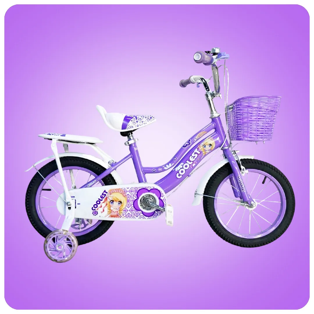 Girls Kids Bicycle – 1 Girls Bike with Training Wheels, Basket & Carrier