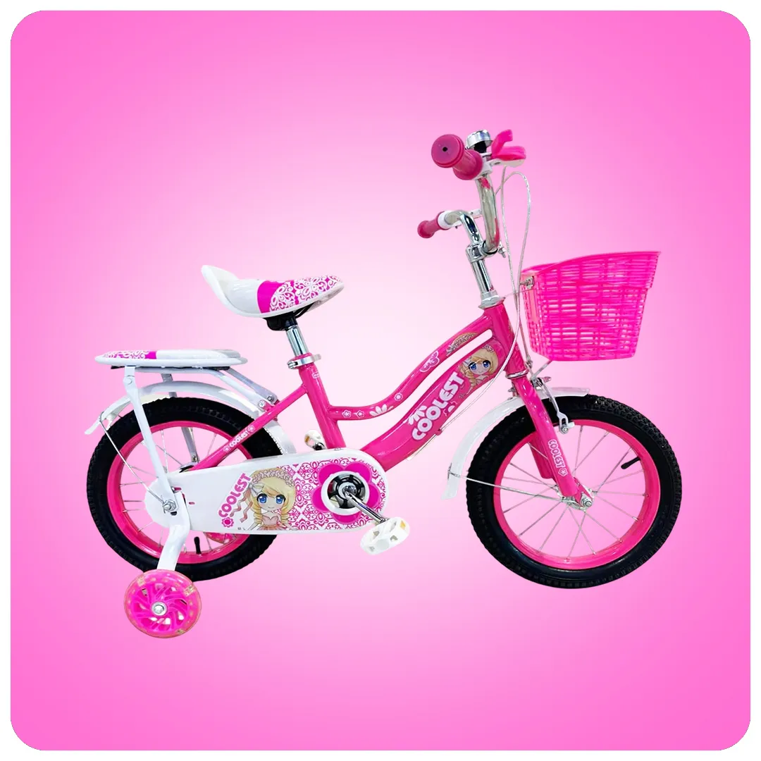 Girls Kids Bicycle – 1 Girls Bike with Training Wheels, Basket & Carrier